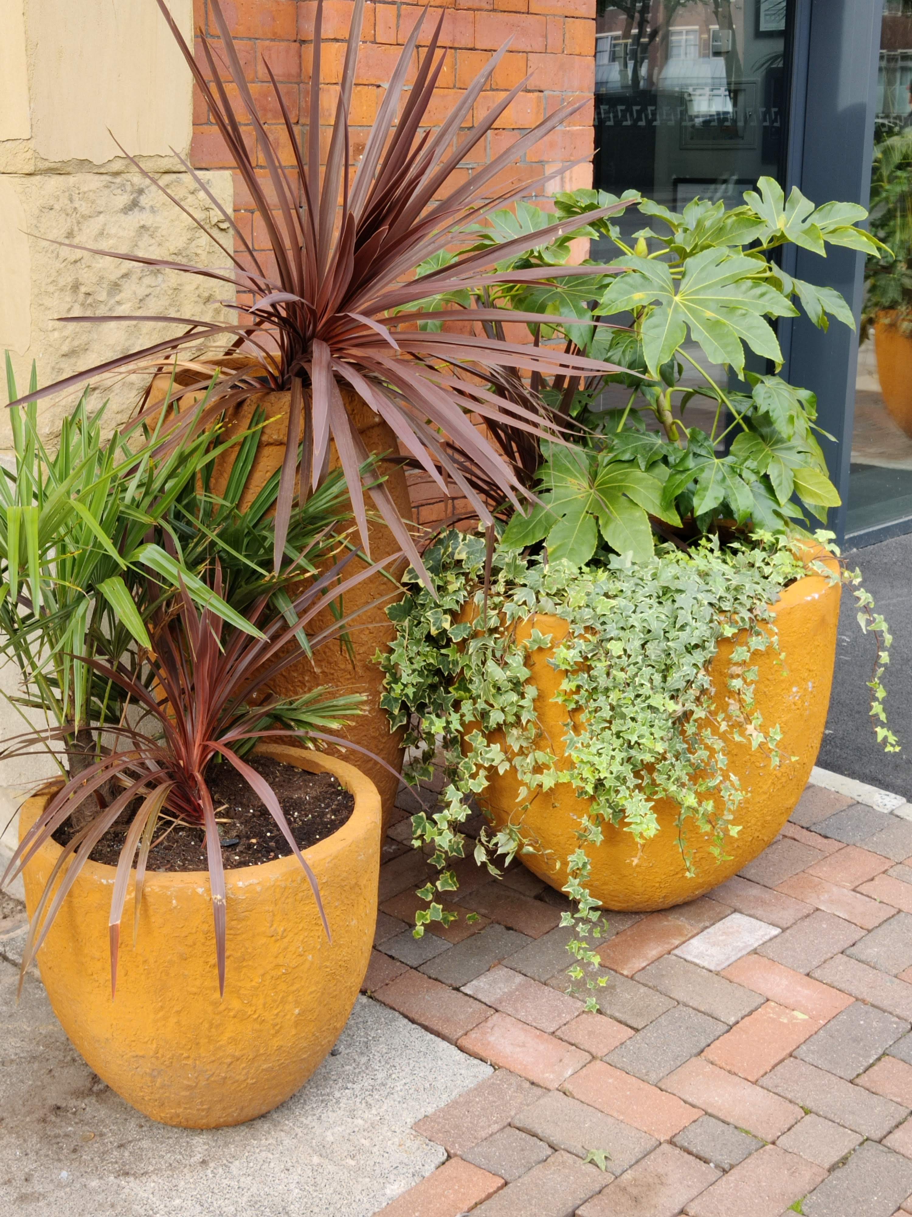 Plant Pots arrangement