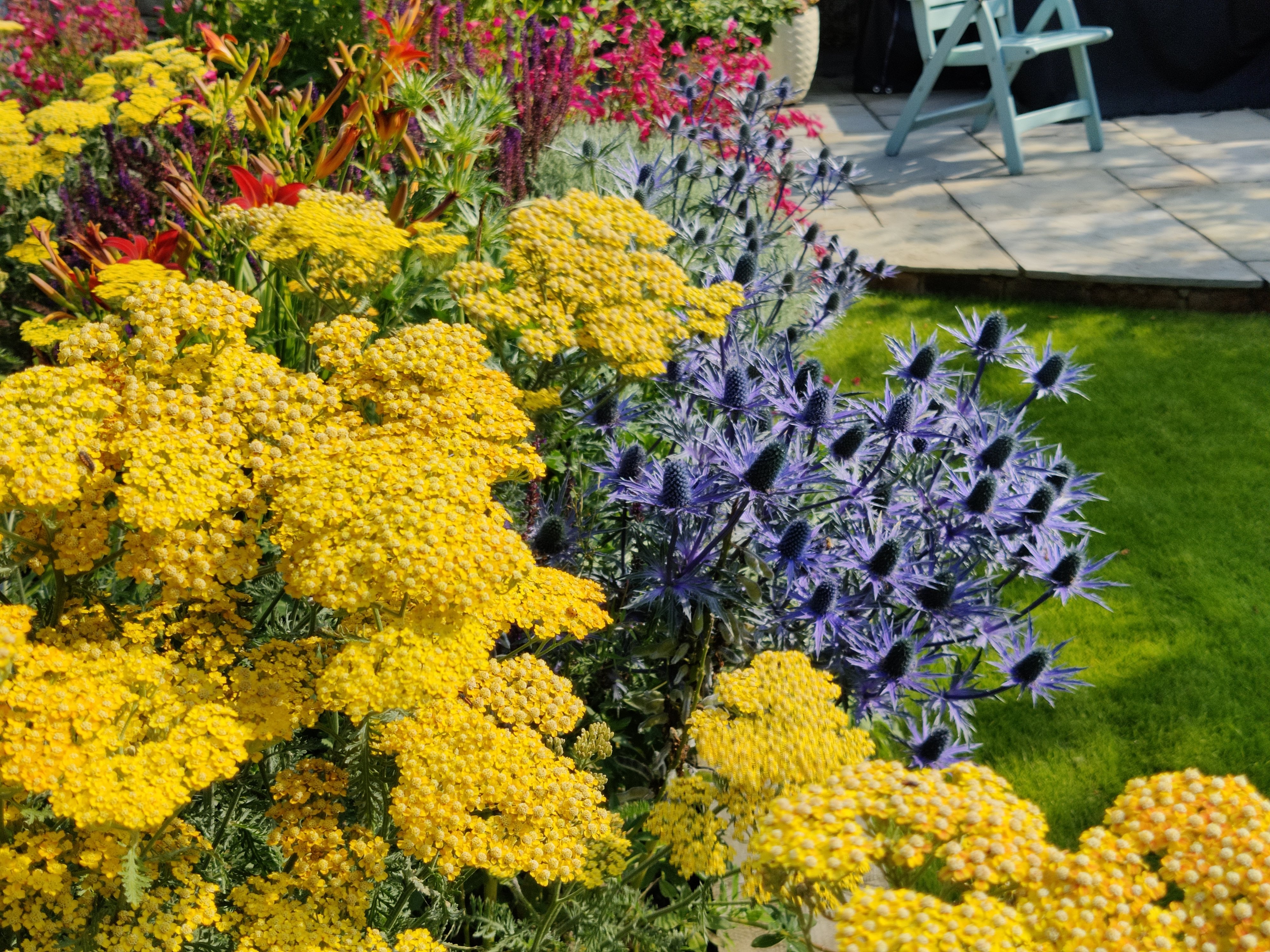 Mature Planting