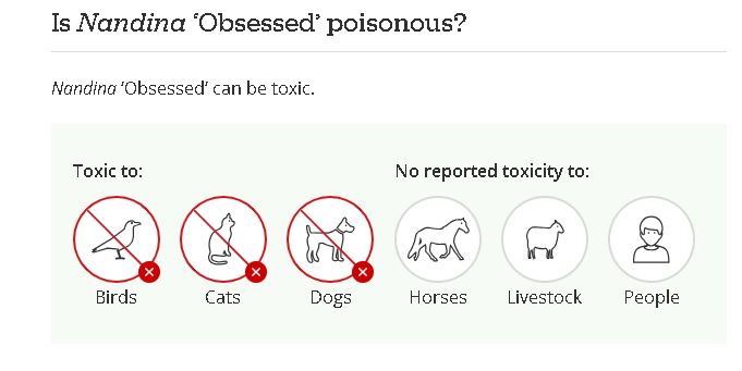 toxicplants