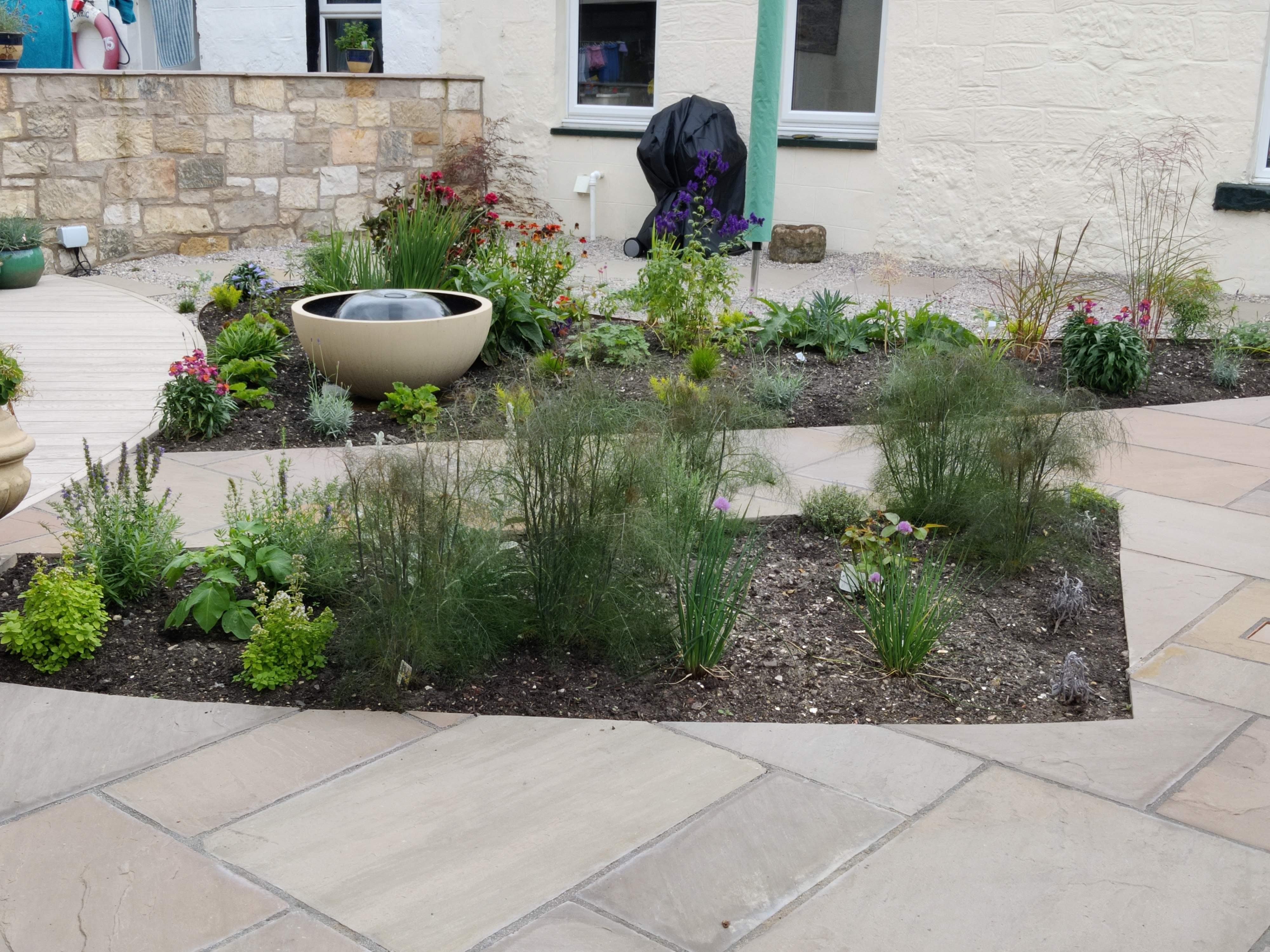 East Lothian Coastal Garden